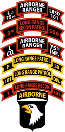 101st Airborne Division, 1st BDE Long Ranger Reconnaissance Platoon Decal