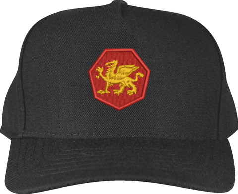 108th Training Division Custom Embroidered Cap