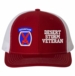 10th Mountain Desert Storm Veteran Split Cap