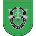 10th Special Forces Group Flash Decal