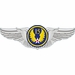 15th Air Force Pilot Wings Decal