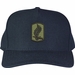 173rd Airborne Brigade Subdued Custom Embroidered Cap