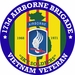 173rd Airborne Brigade Vietnam Veteran Decal