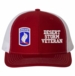 173rd Airborne Desert Storm Veteran Split Cap