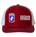 173rd Airborne Vietnam Veteran Split Cap