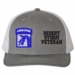 18th Airborne Desert Storm Veteran Split Cap