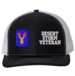 196th Infantry Desert Storm Veteran Split Cap
