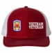 199th Infantry Vietnam Veteran Split Cap