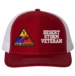 1st Armored Desert Storm Veteran Split Cap