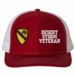 1st Cavalry Desert Storm Veteran Split Cap