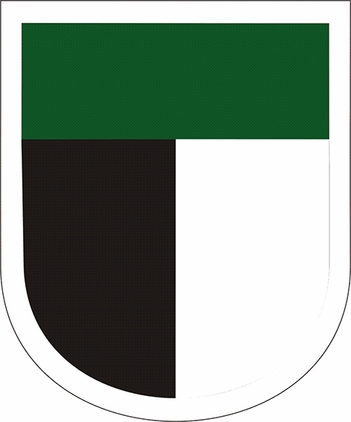 1st SOCOM Flash Decal