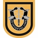 1st Special Forces Group Flash Decal