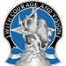 201st Battlefield Surveillance Brigade Unit Crest Vinyl Transfer Decal