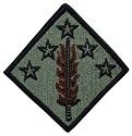 20th Army Support Command ACU Velcro Patch