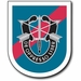 20th Special Forces Group Flash Decal