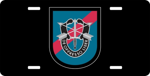 20th Special Forces Group Flash License Plate