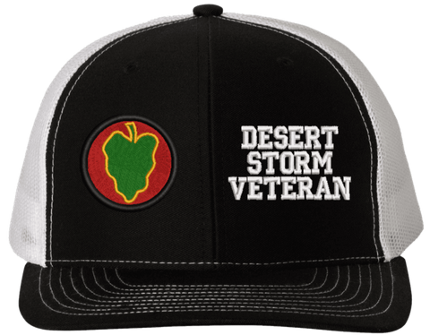24th Infantry Desert Storm Veteran Split Cap