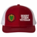 24th Infantry Desert Storm Veteran Split Cap