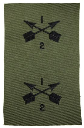 2nd Battalion 1st Special Forces Group pair of Subdued Patch