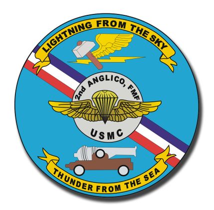 2nd Marine Division 2nd Air Naval Gunfire Liaison Company Sticker Decal