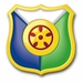 319th Transportation Brigade Patch Vinyl Transfer Decal