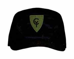 38th Infantry Division Subdued Patch Ball Cap