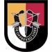 3rd Special Forces Group Flash Decal