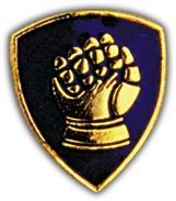 46TH INFANTRY DIVISION LAPEL PIN