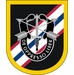 46th Special Forces Company Flash Decal