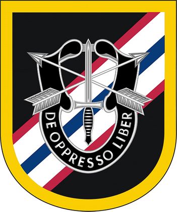46th Special Forces Company Flash Decal