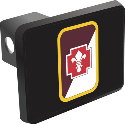62nd Medical Group Hitch Cover