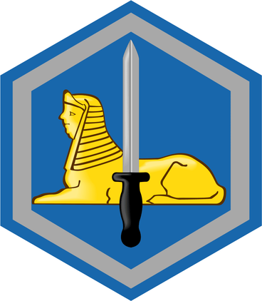 66th Military Intelligence Brigade Patch Vinyl Transfer Decal