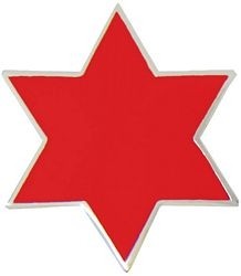 6th Division Lapel Pin