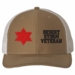 6th Infantry Desert Storm Veteran Split Cap