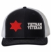 6th Infantry Vietnam Veteran Split Cap