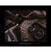 75th Infantry Regiment - LRRP-Ranger -Giclee Print