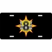 8th Engineer Support Battalion ESB 8 License Plate