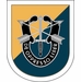 8th Special Forces Group Flash Decal