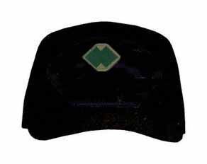 96th U.S. Army Reserve Command Subdued Direct Embroidered Ball Cap