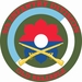 9th Infantry Division with Crossed Rifles Decal