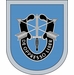 9th Special Forces Group Flash Decal