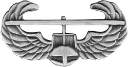 AIR ASSAULT LAPEL PIN - Oxidized