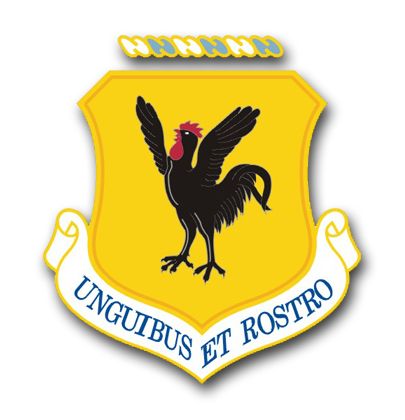 Air Force 18th Wing 3.8'' Vinyl Transfer Decal