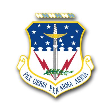 Air Force 341st Missile Wing Vinyl Transfer Decal