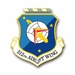 Air Force 512th Airlift Wing Vinyl Transfer Decal
