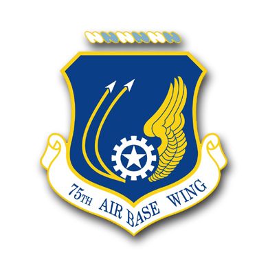 Air Force 75th Air Base Wing Vinyl Transfer Decal