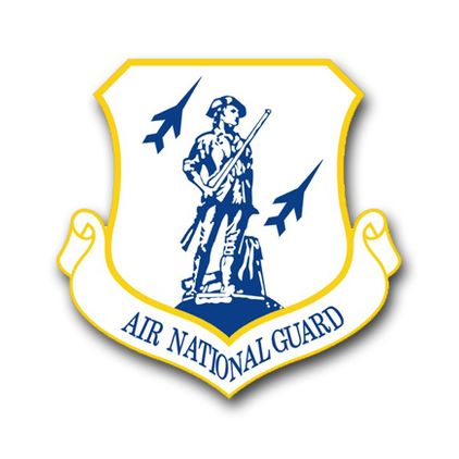 Air Force Air National Guard Vinyl Transfer Decal