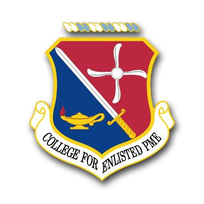 Air Force College For Enlisted PME Vinyl Transfer Decal