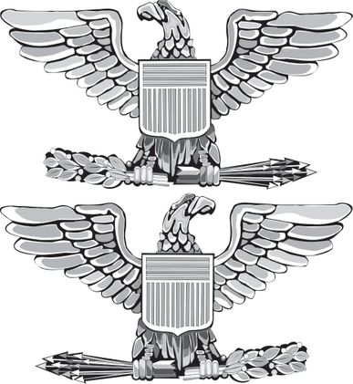 Air Force Colonel Officer Rank Insignia Vinyl Transfer Decal