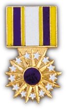 Air Force Distinguished Service Medal Hat Pin